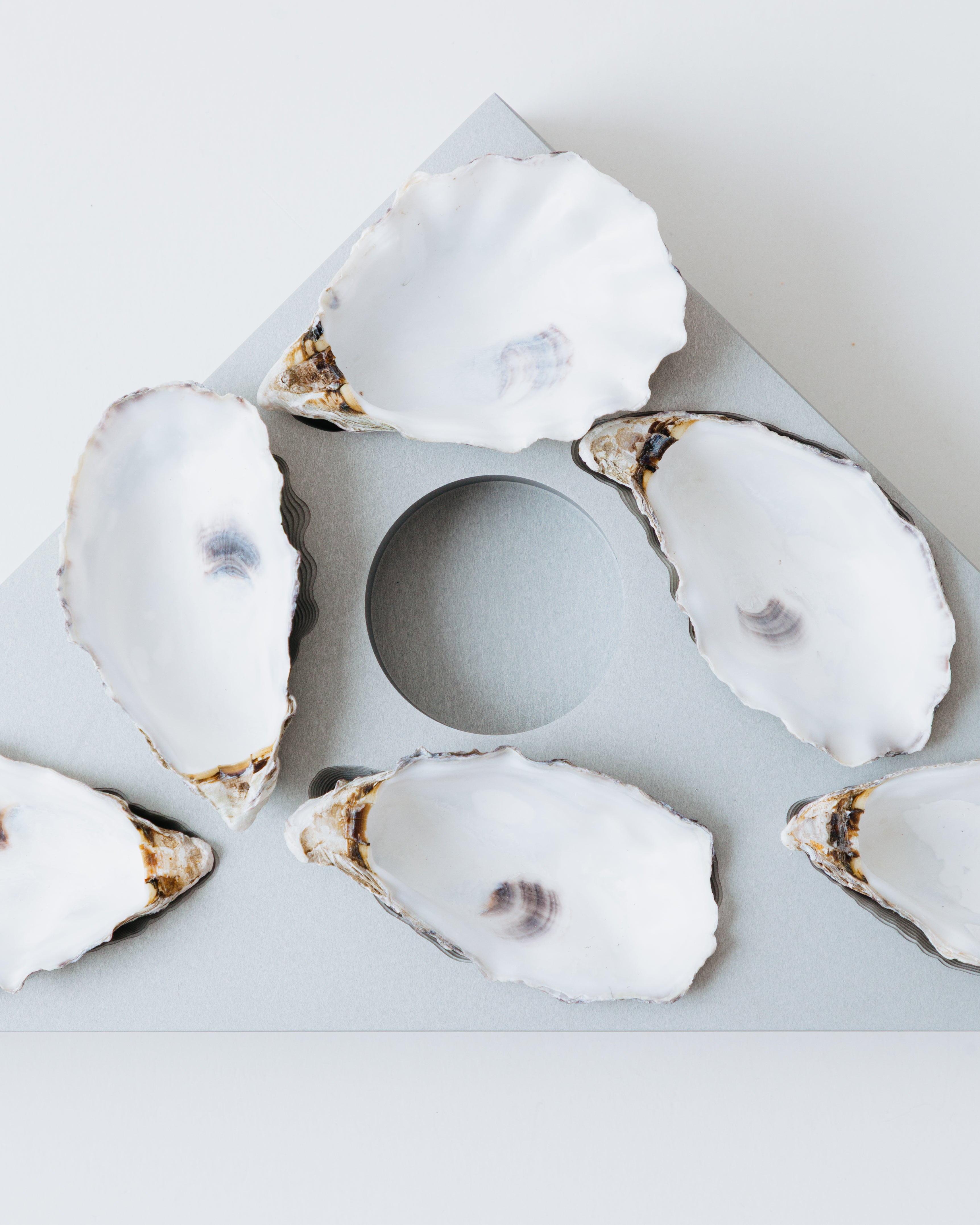 OYSTER PLATE