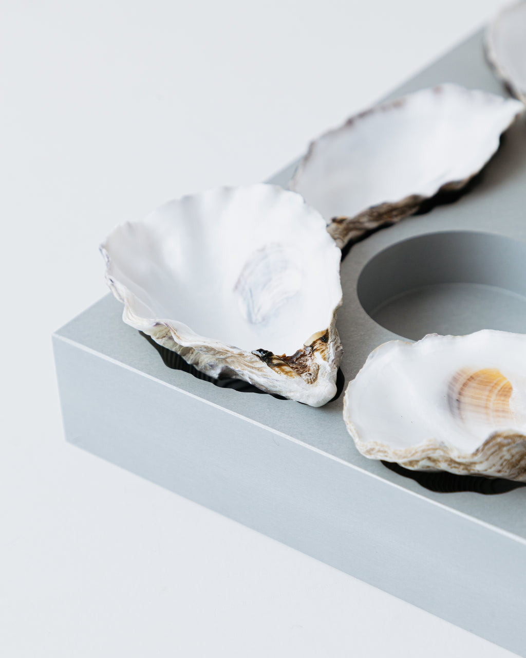 OYSTER PLATE